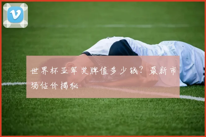 世界杯亚军奖牌值多少钱?最新市场估价揭秘