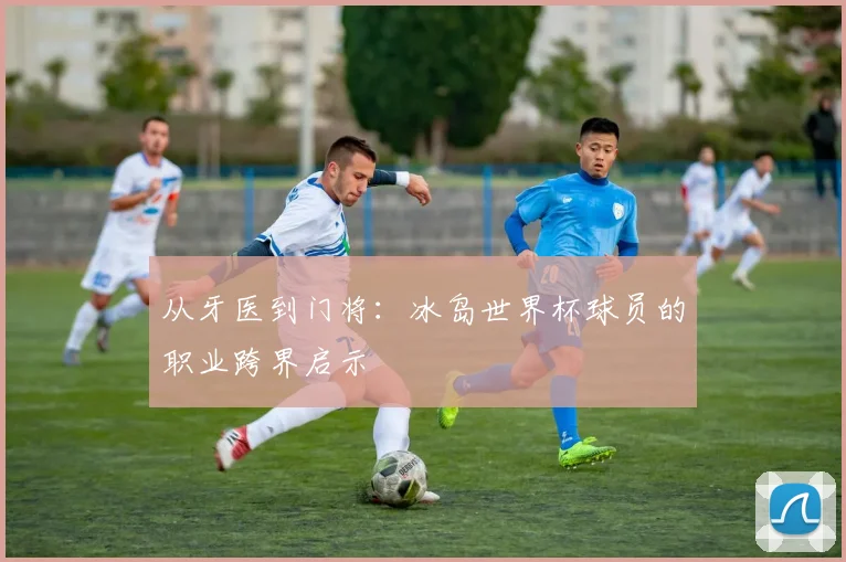 从牙医到门将:冰岛世界杯球员的职业跨界启示