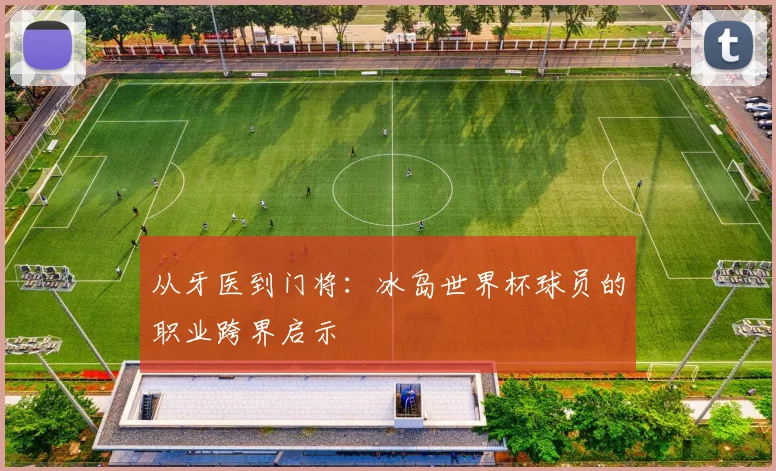 从牙医到门将:冰岛世界杯球员的职业跨界启示