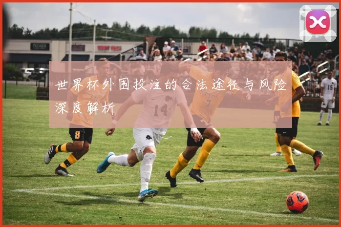 世界杯外围投注的合法途径与风险深度解析
